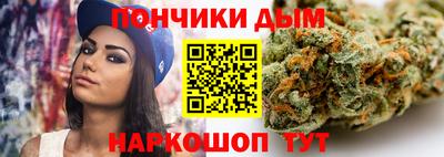 тгк Новодвинск