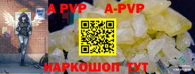 тгк Новодвинск